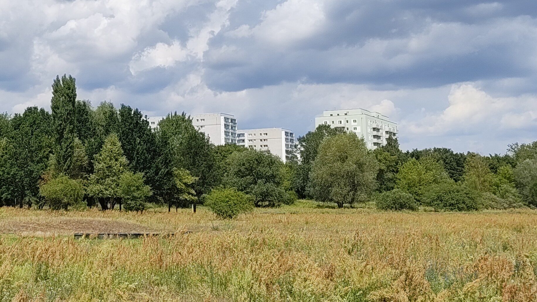Kopie park