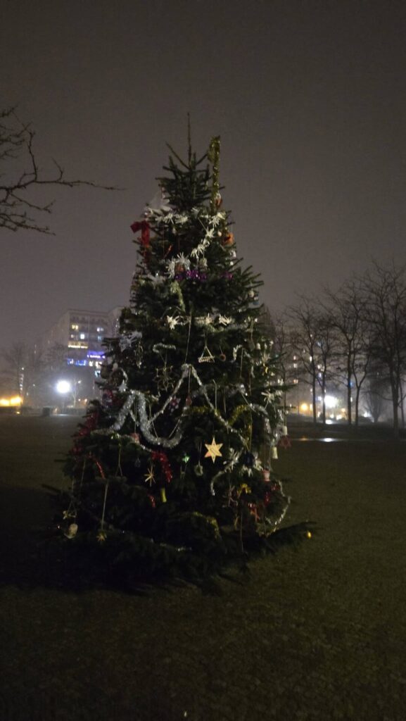 595552006 1269199895233847 3762532327309140108 n